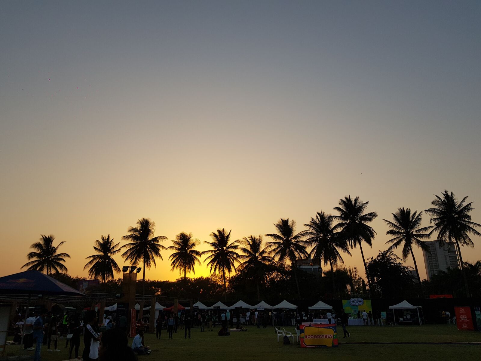 Samsung Galaxy S8+ sample photo. Palm tree, sunset, view photography