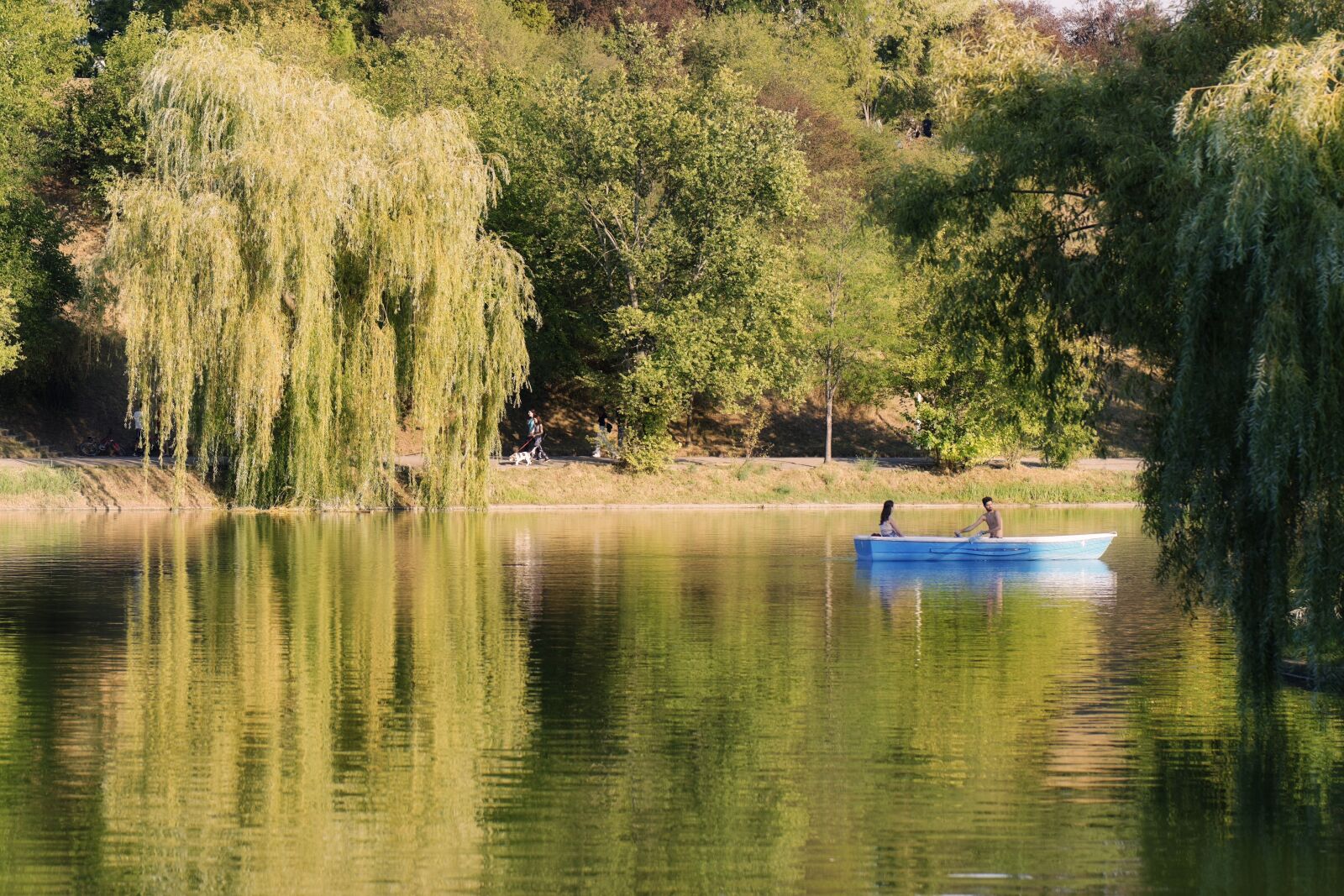 Nikon D5300 sample photo. Boat, trees, park photography