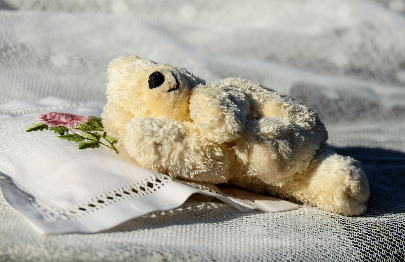 Fujifilm X-T10 + Fujifilm XC 50-230mm F4.5-6.7 OIS sample photo. Teddy, plush, bears photography