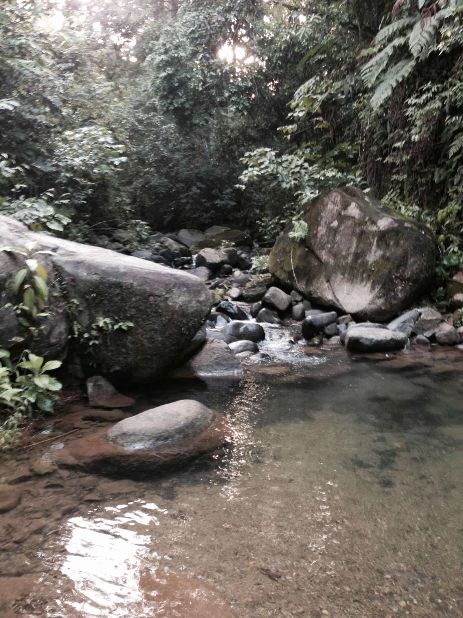 iPhone 5 back camera 4.12mm f/2.4 sample photo. Beach, costa, rica, jungle photography