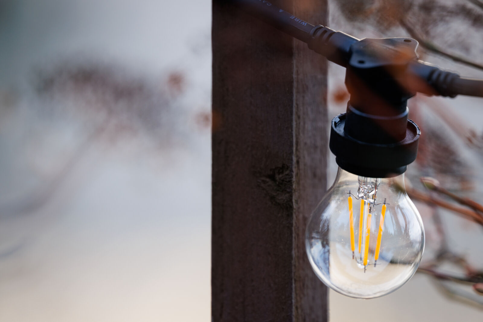 Canon EOS R5 sample photo. Led lightbulb photography