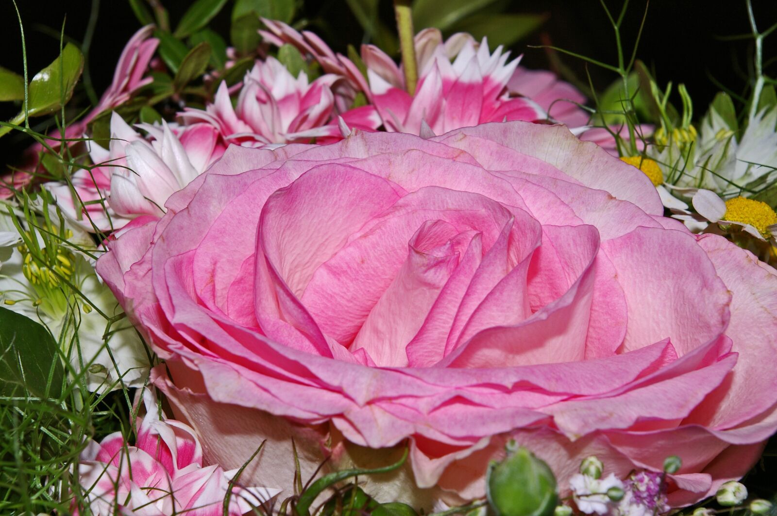 Pentax *ist DL2 sample photo. Rose, bouquet, flowers photography