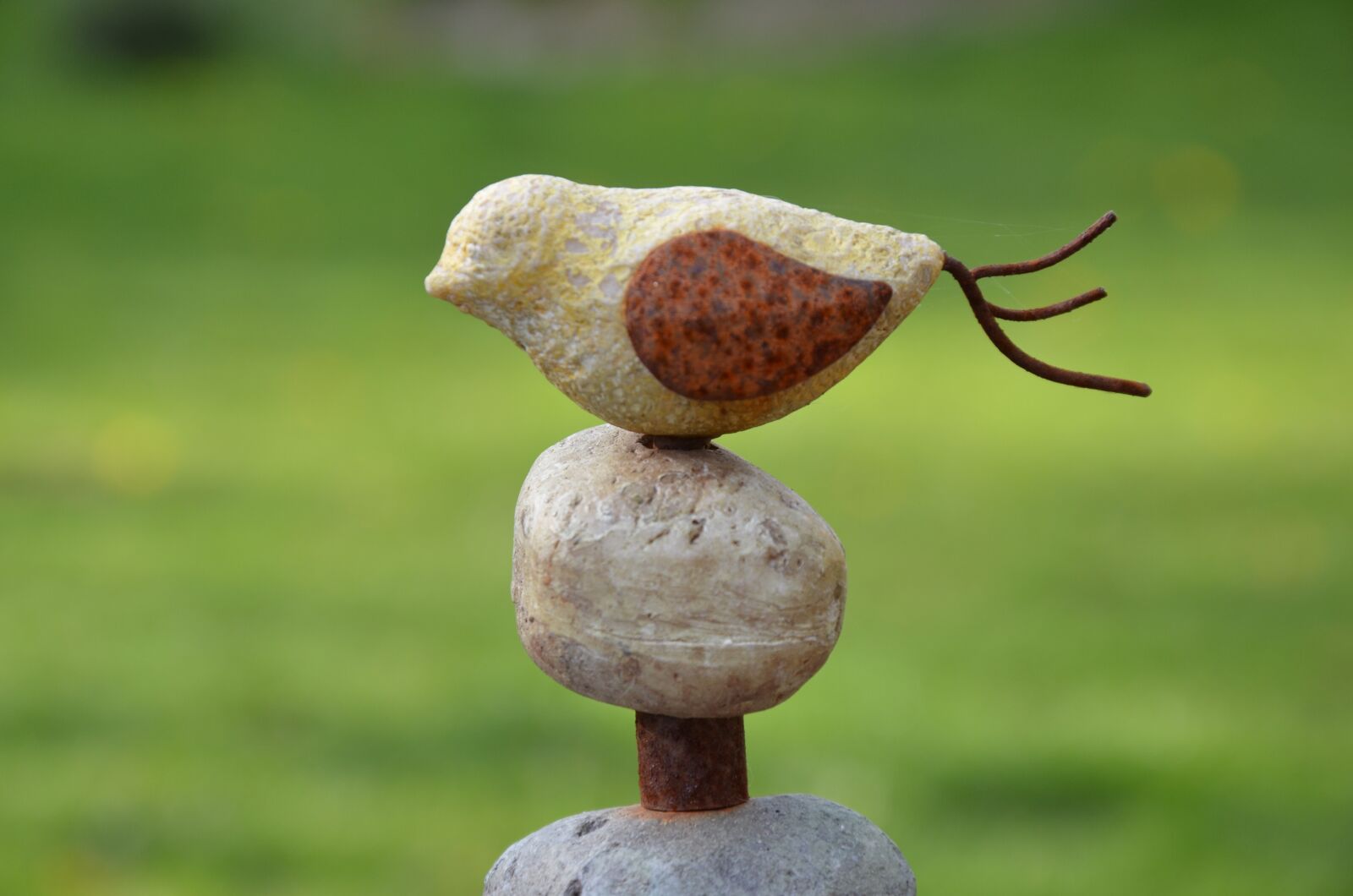 Nikon D7000 sample photo. Nature, bird, garden photography
