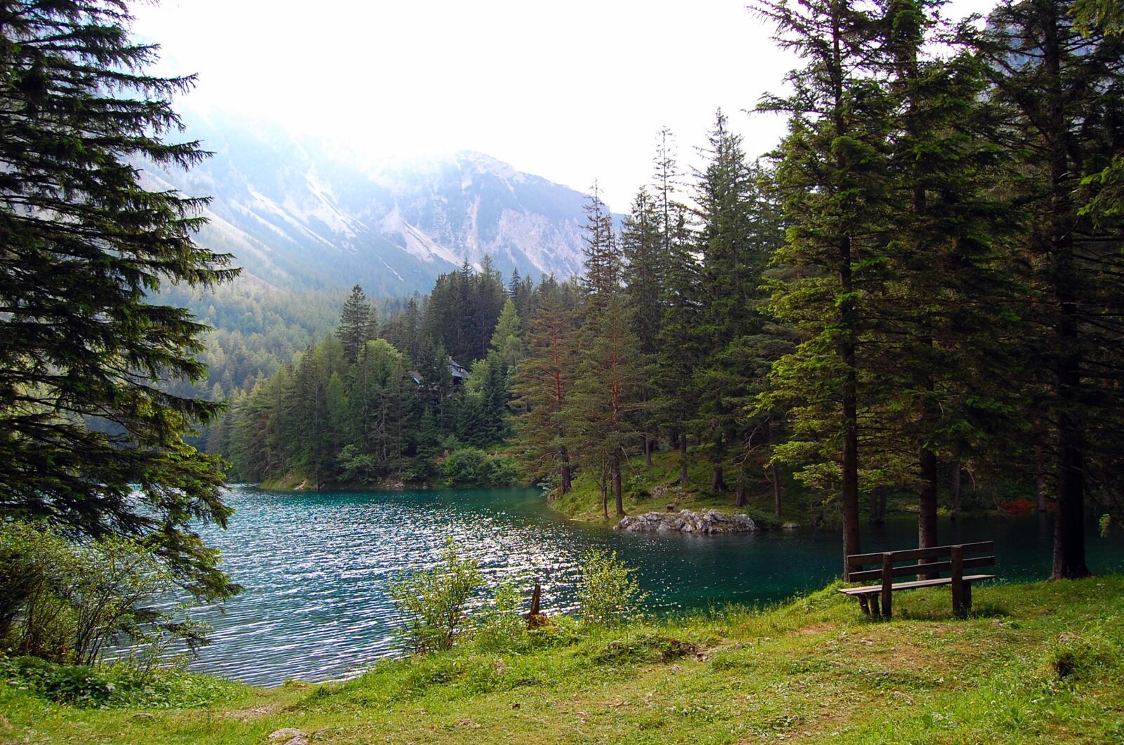 Nikon D40 sample photo. Lake, wood, green photography