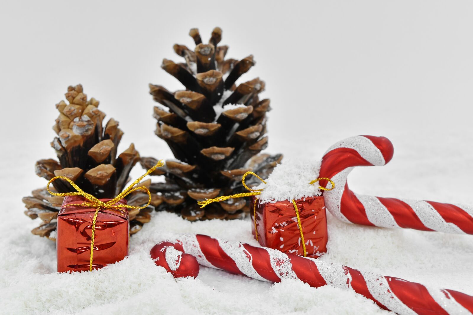 Nikon D5500 sample photo. Christmas, decoration, holiday, winter photography