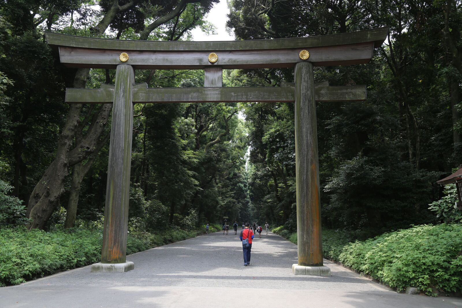 Canon EOS 6D + Canon EF 24-105mm F4L IS USM sample photo. Torii, temple, shrine photography