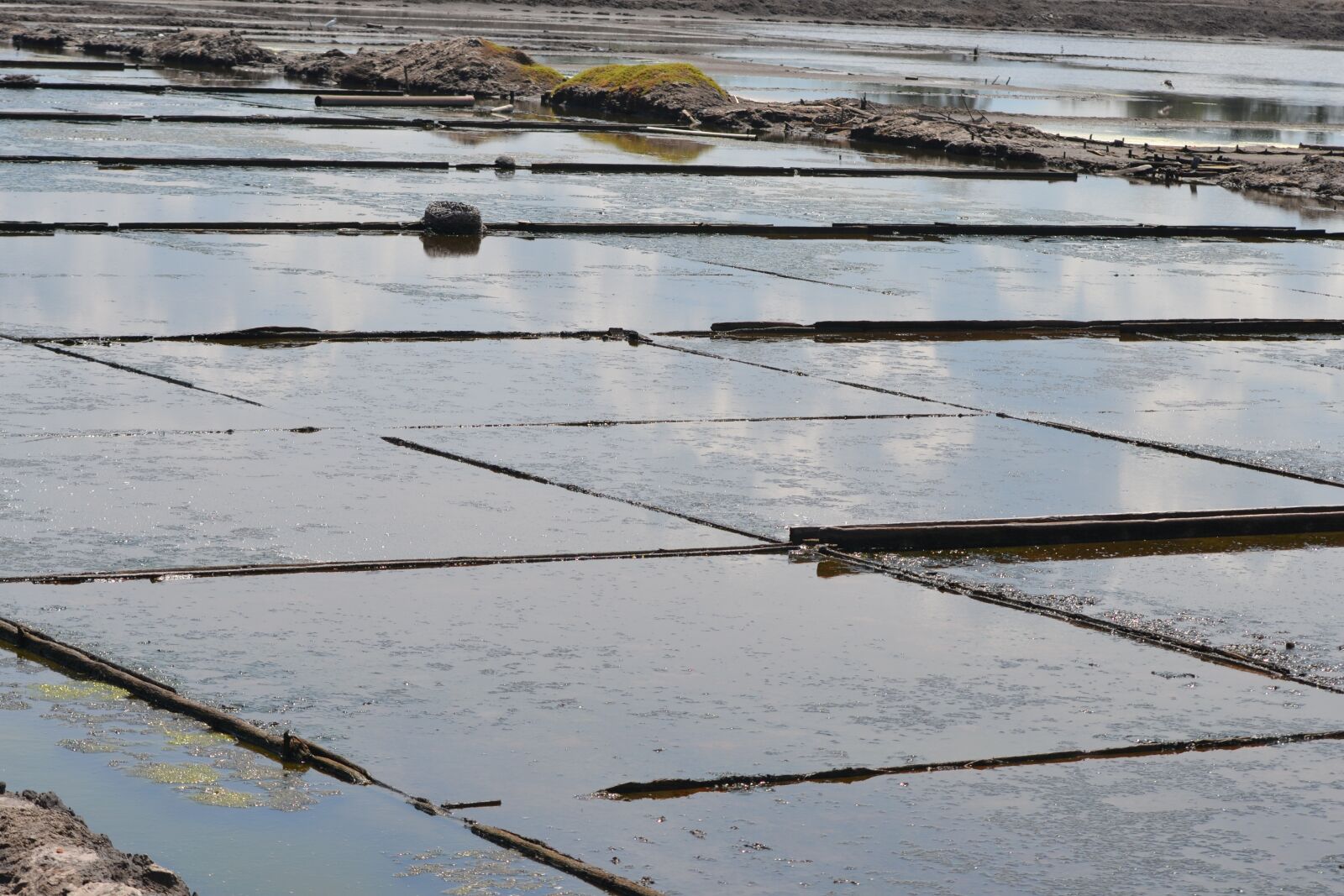 Nikon D3100 sample photo. Sunny, landscape, salt photography
