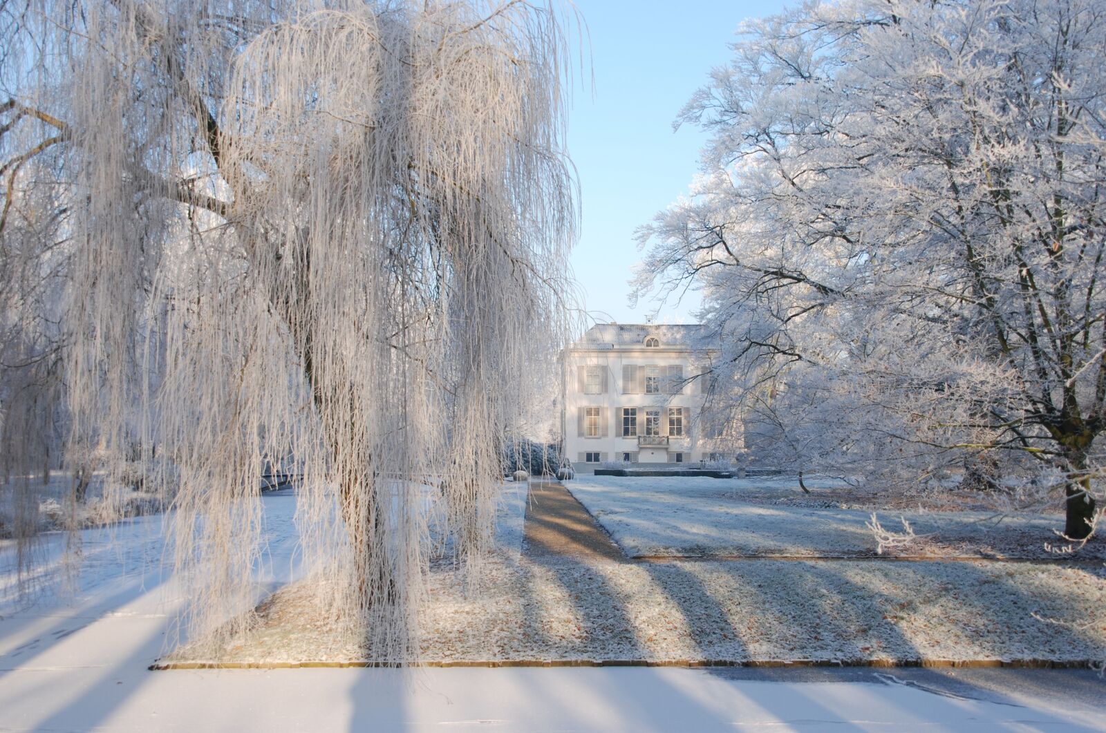 Nikon D80 sample photo. Snow, ripe, winter photography