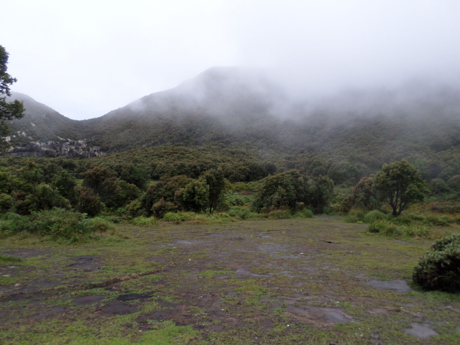 Samsung ST150F/ST151F/ST152F sample photo. Clouds, forest, landscape photography