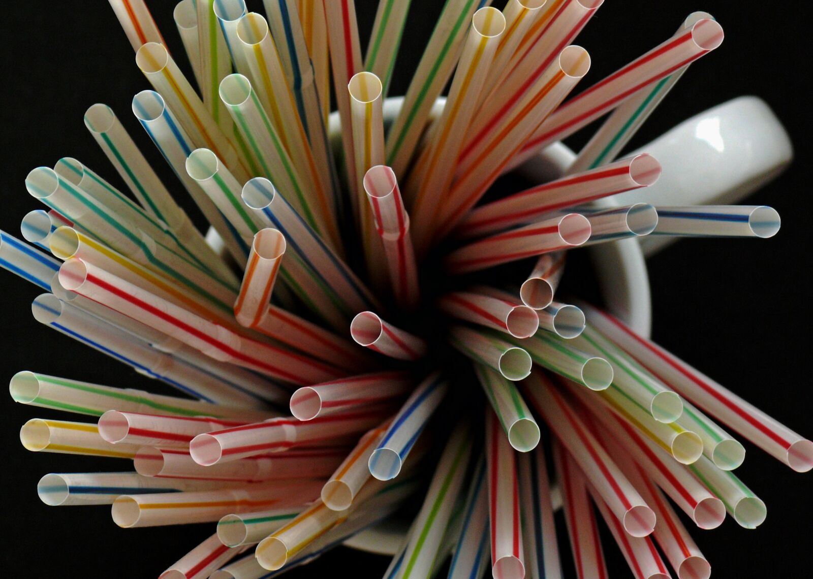 Leica V-LUX 1 sample photo. Halm, halme, knick straws photography