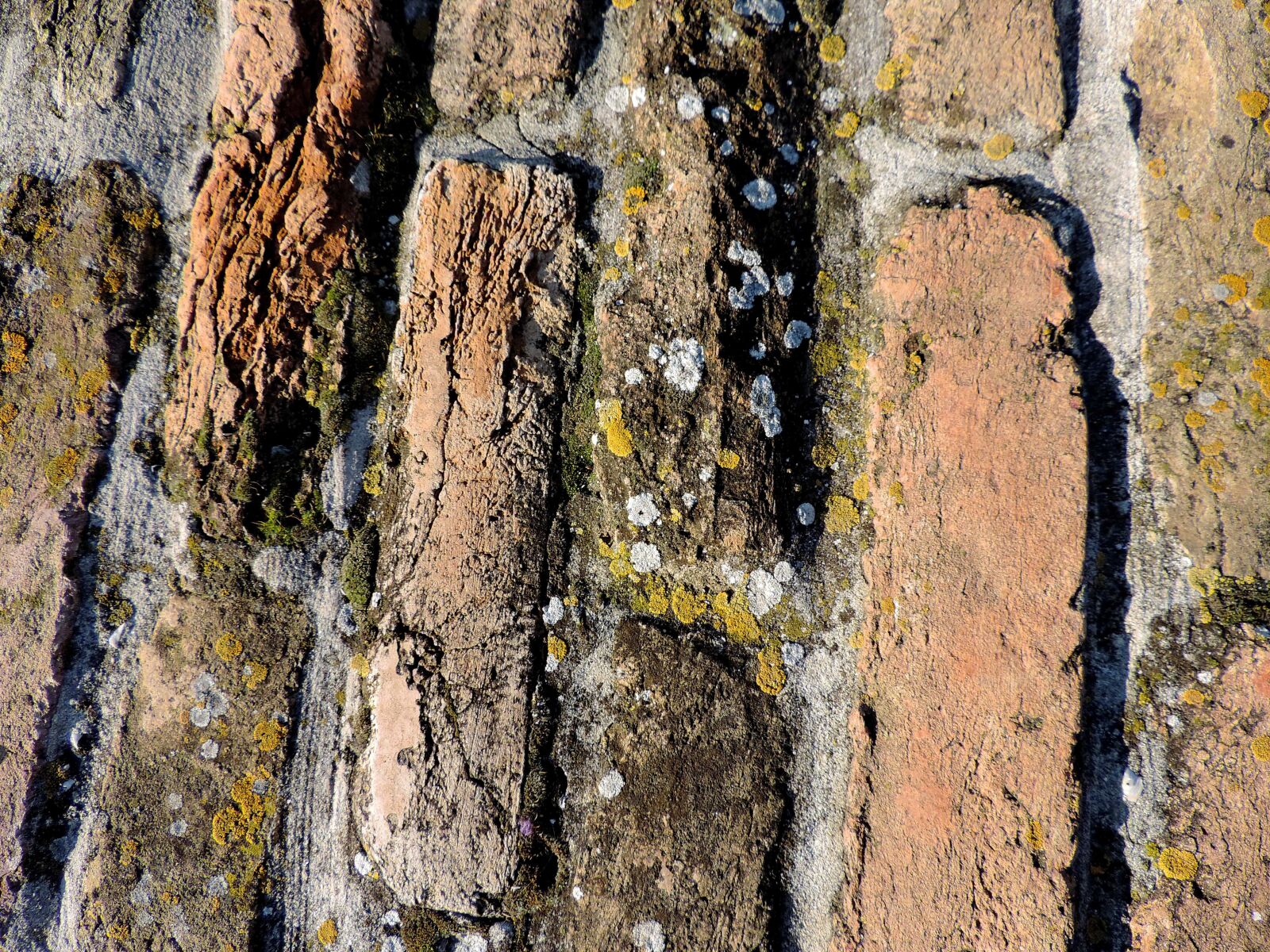 Nikon Coolpix P520 sample photo. Bricks, lichen, rough, old photography