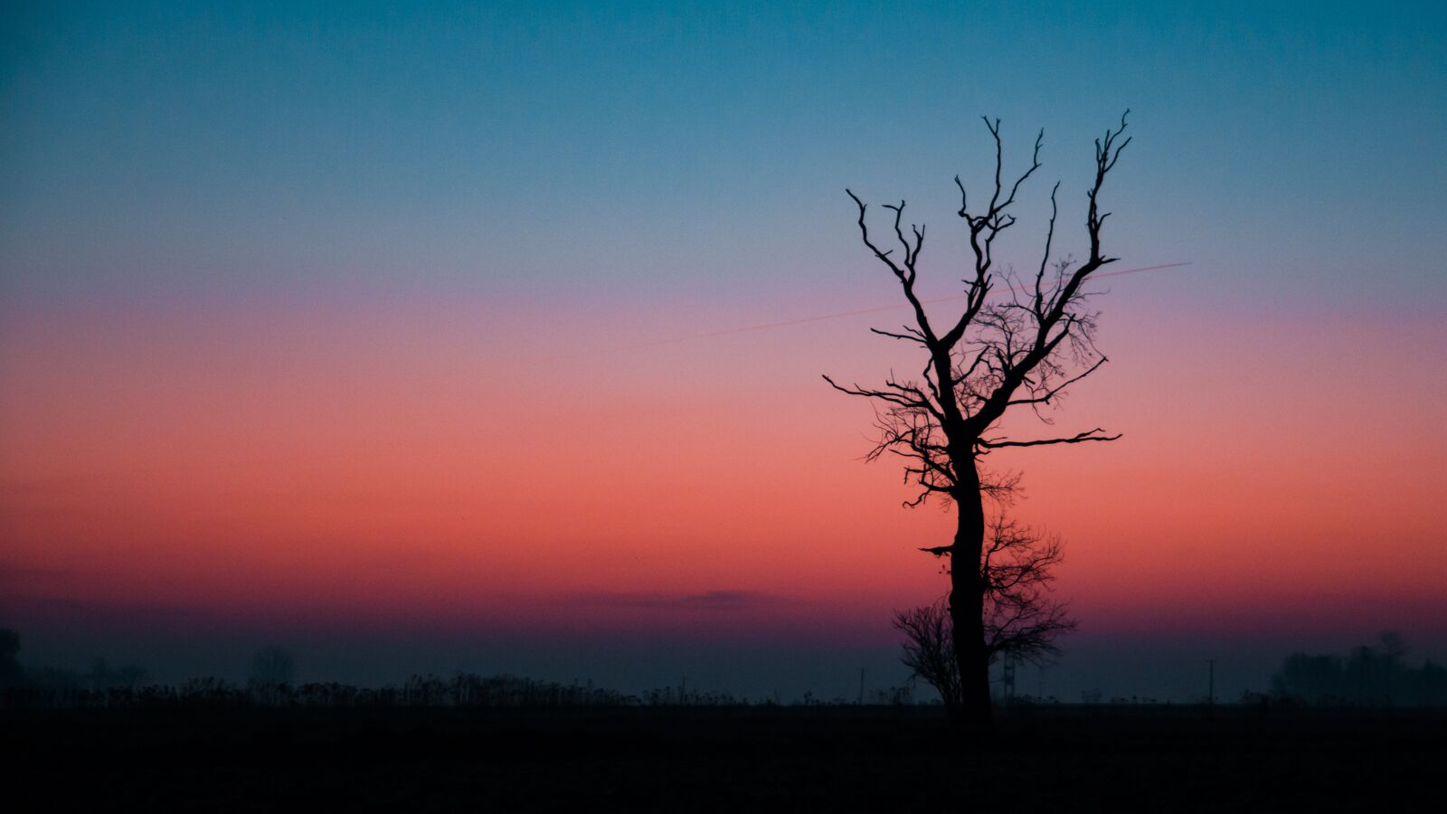 Canon EOS 700D (EOS Rebel T5i / EOS Kiss X7i) sample photo. Sunrise, colored, tree photography