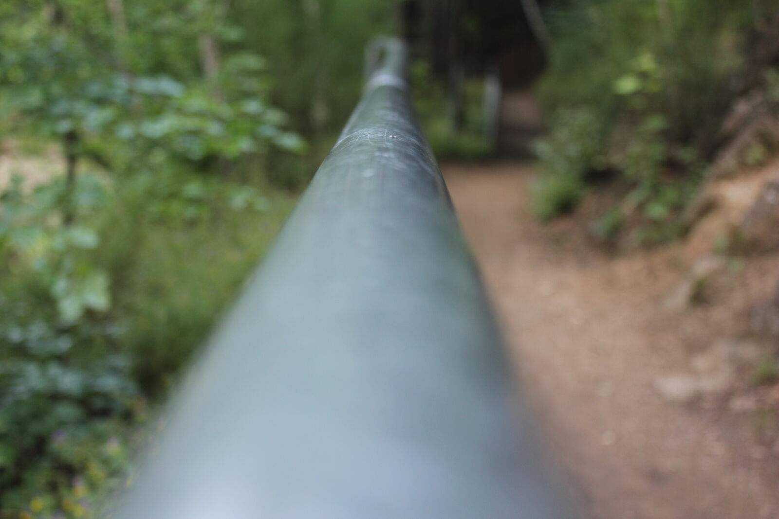 Canon EOS 550D (EOS Rebel T2i / EOS Kiss X4) sample photo. Forest, line, pipe, road photography
