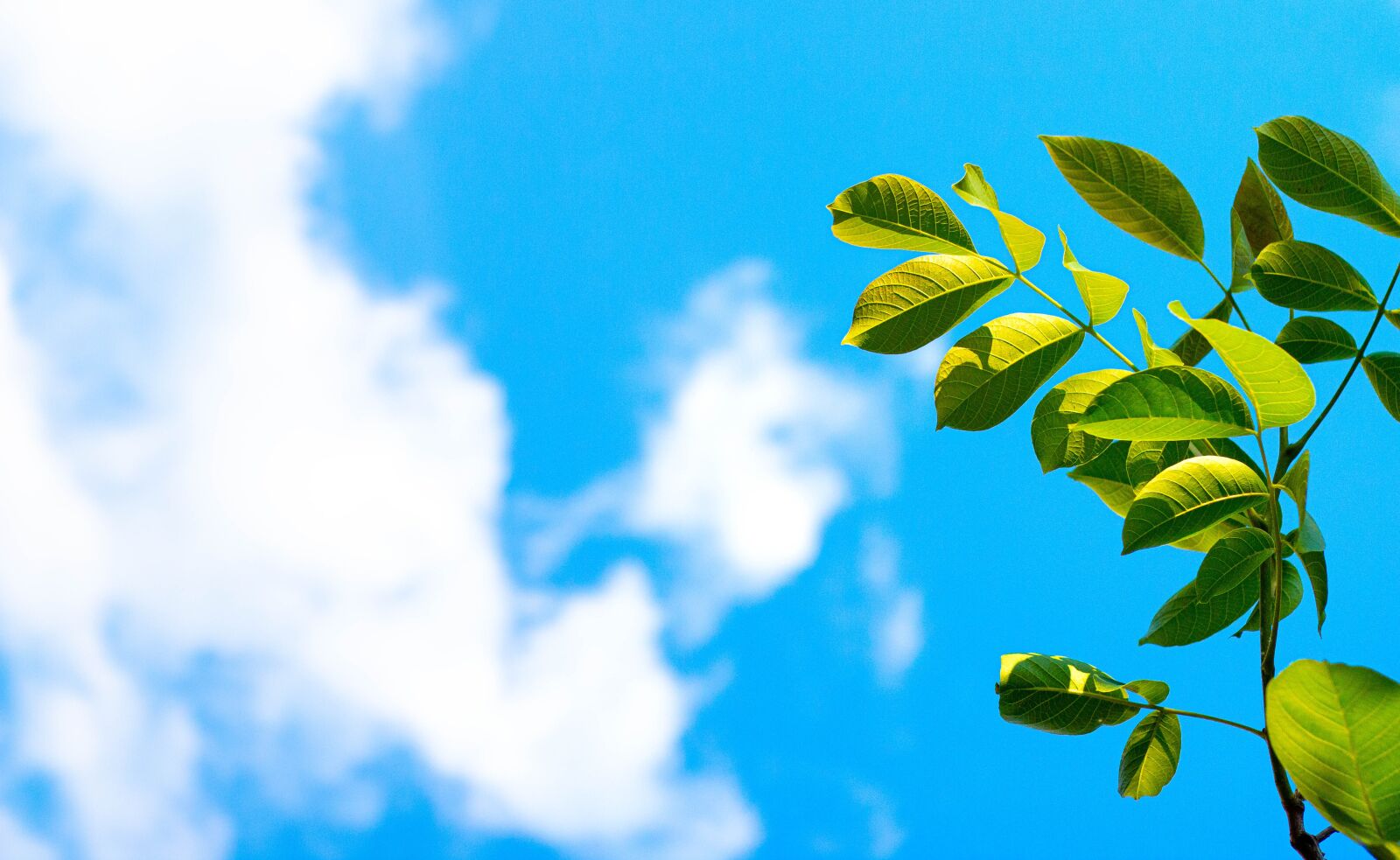 Canon EOS 70D + Canon EF 50mm F1.8 STM sample photo. Sunny, summer, beach photography