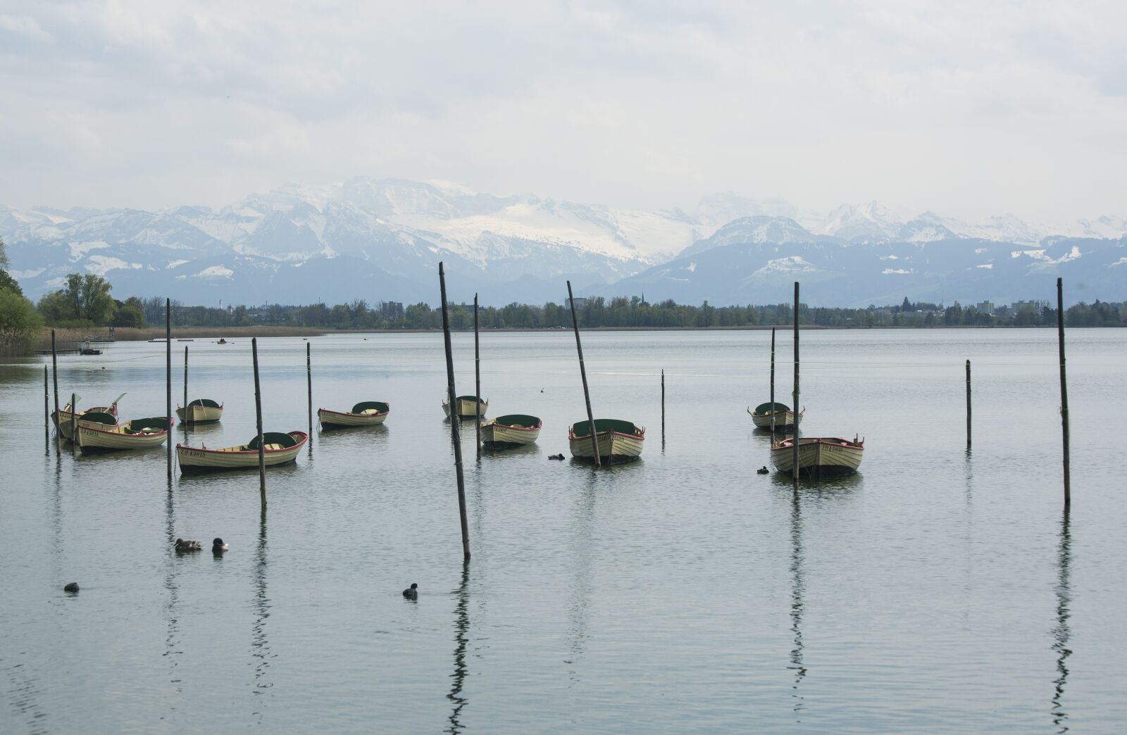 Canon EF 70-300mm F4-5.6 IS USM sample photo. Lake, nature, pfäffikersee photography