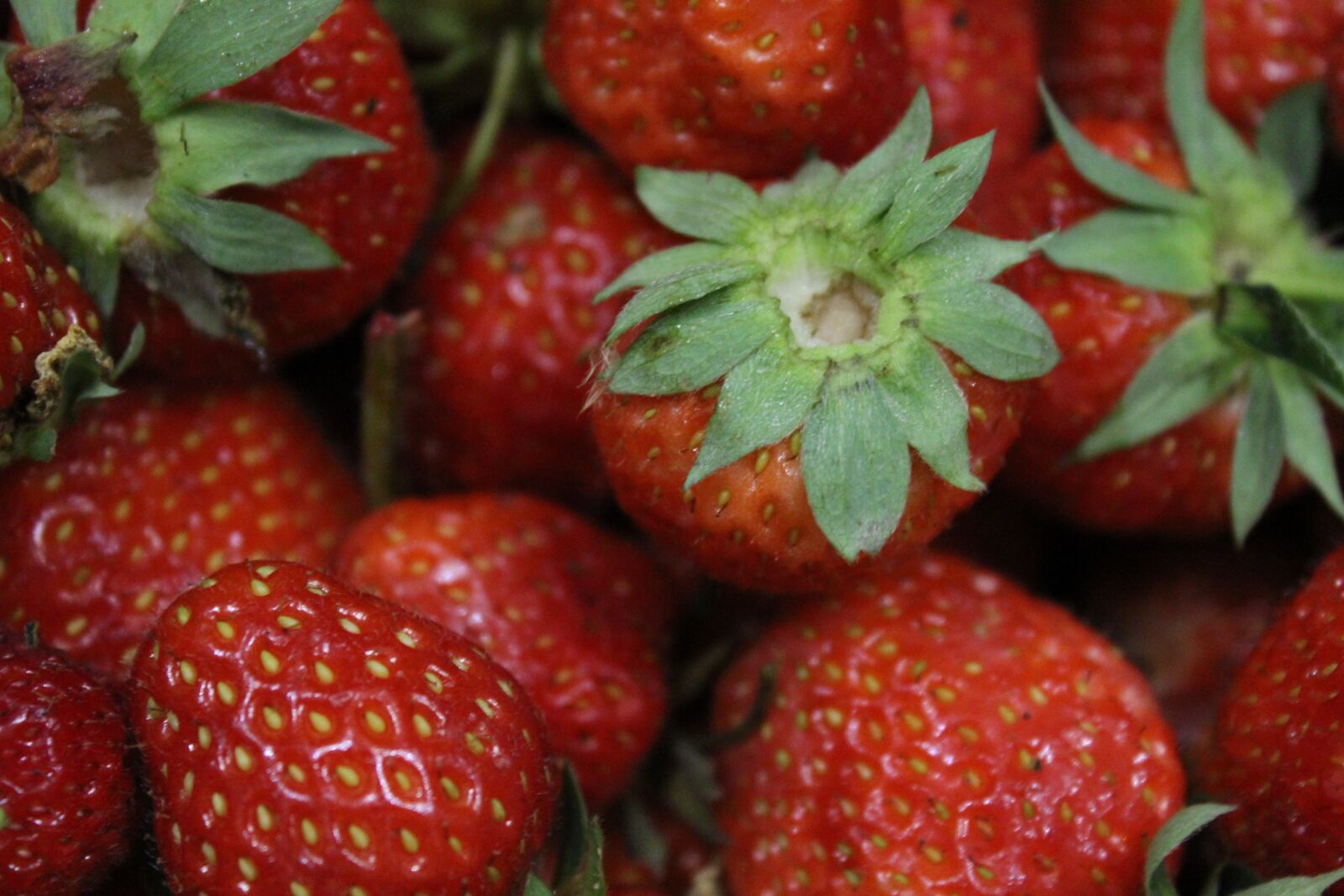 Canon EOS 1200D (EOS Rebel T5 / EOS Kiss X70 / EOS Hi) sample photo. Summer, berry, strawberry photography