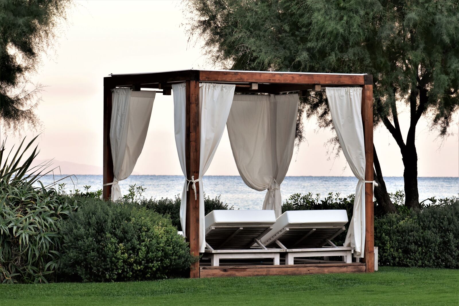 Nikon D5500 sample photo. Summer, sun, lounge photography