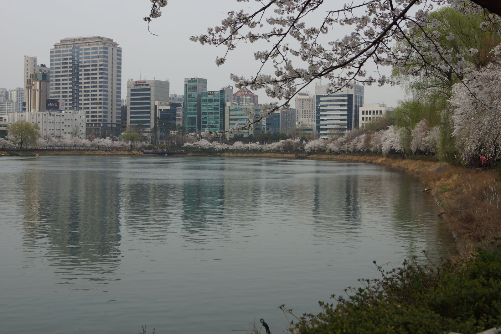 Sony SLT-A65 (SLT-A65V) + Sony DT 18-55mm F3.5-5.6 SAM sample photo. Jamsil, songpa, seokchon lake photography
