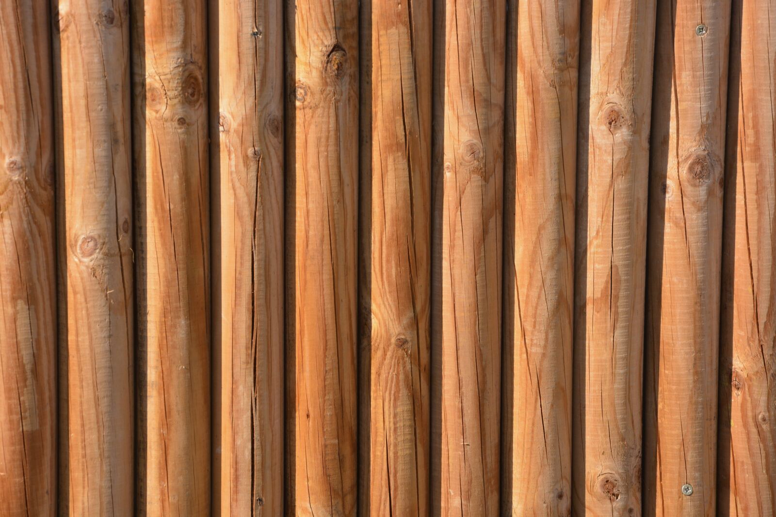 Nikon D5200 sample photo. Wood, wooden logs, log photography