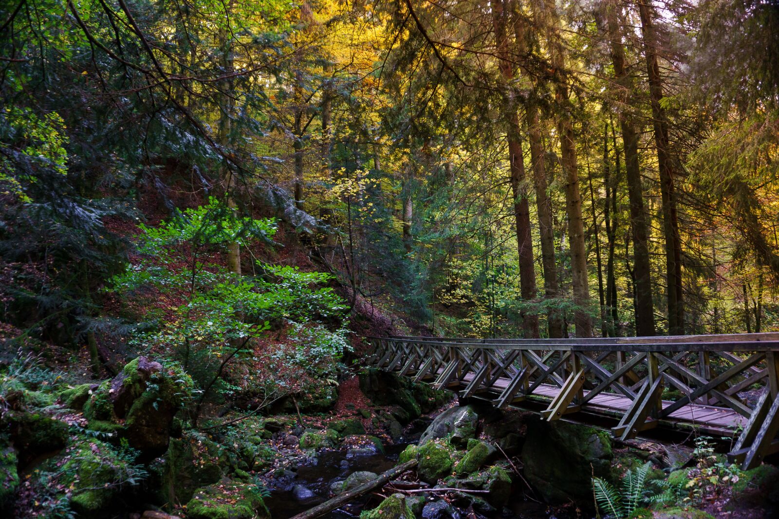 Sony E 16-50mm F3.5-5.6 PZ OSS sample photo. Forest, bridge, gorge photography