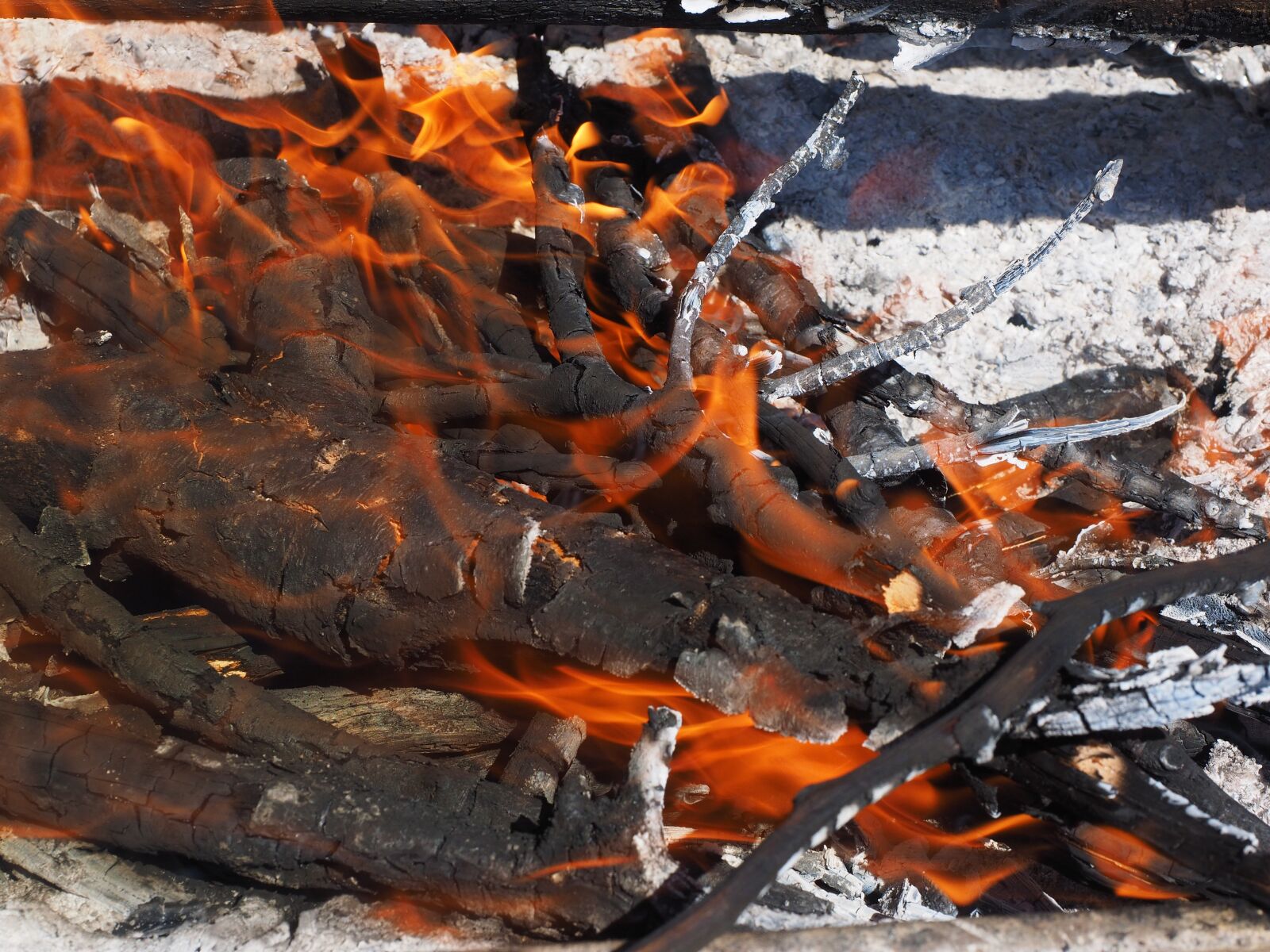 Olympus OM-D E-M1 + Olympus M.Zuiko Digital ED 12-40mm F2.8 Pro sample photo. Barbecue area, fire, campfire photography