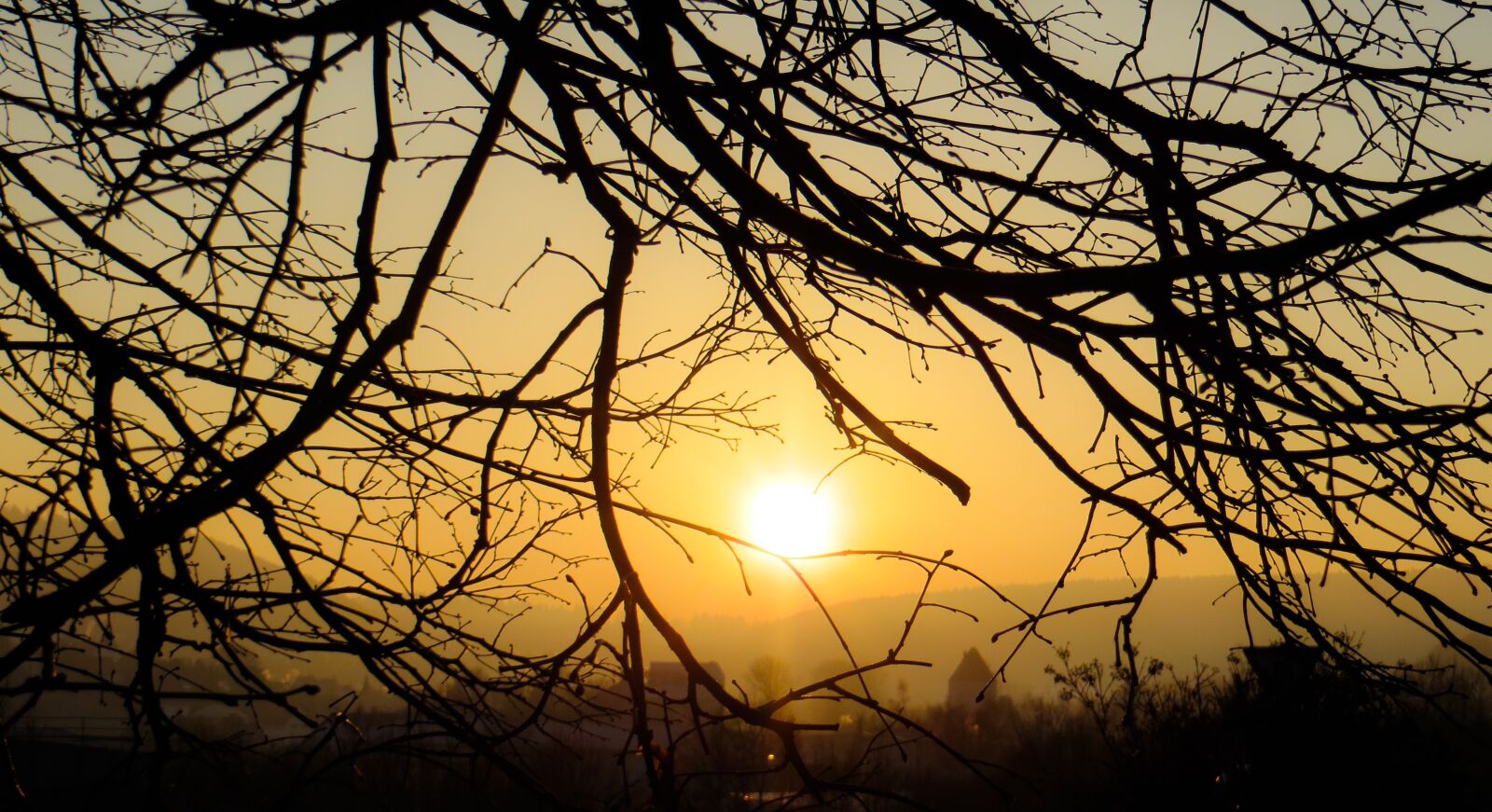 Canon PowerShot SX240 HS sample photo. Nature, tree, sunset photography