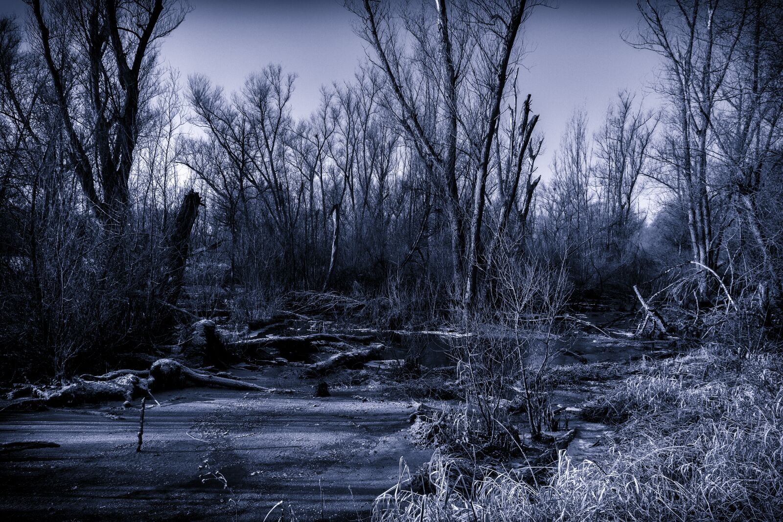 Nikon D3300 sample photo. Swamp, nature, night photography