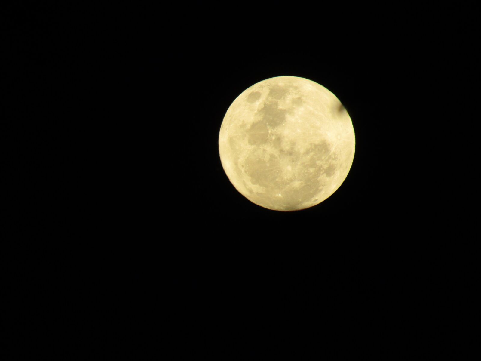 Canon PowerShot SX420 IS sample photo. Supermoon, queensland, australia photography