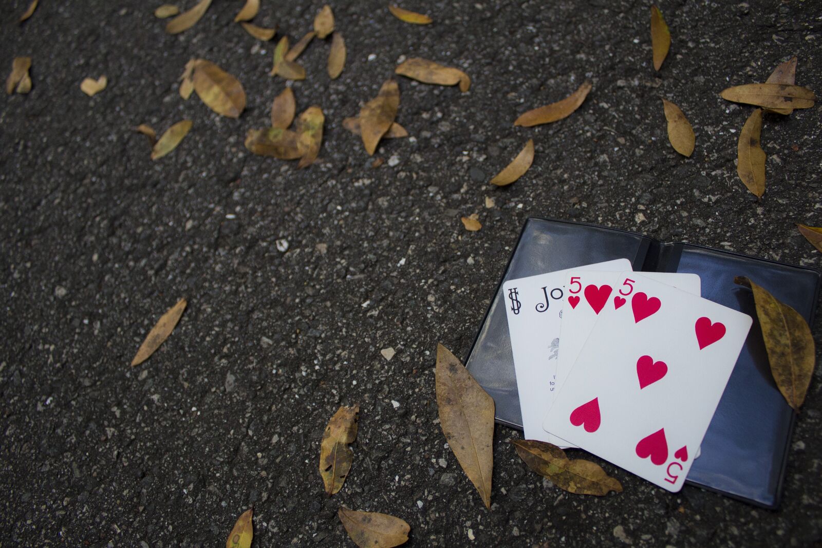 Canon EOS 600D (Rebel EOS T3i / EOS Kiss X5) sample photo. Cards, ground, leaves photography