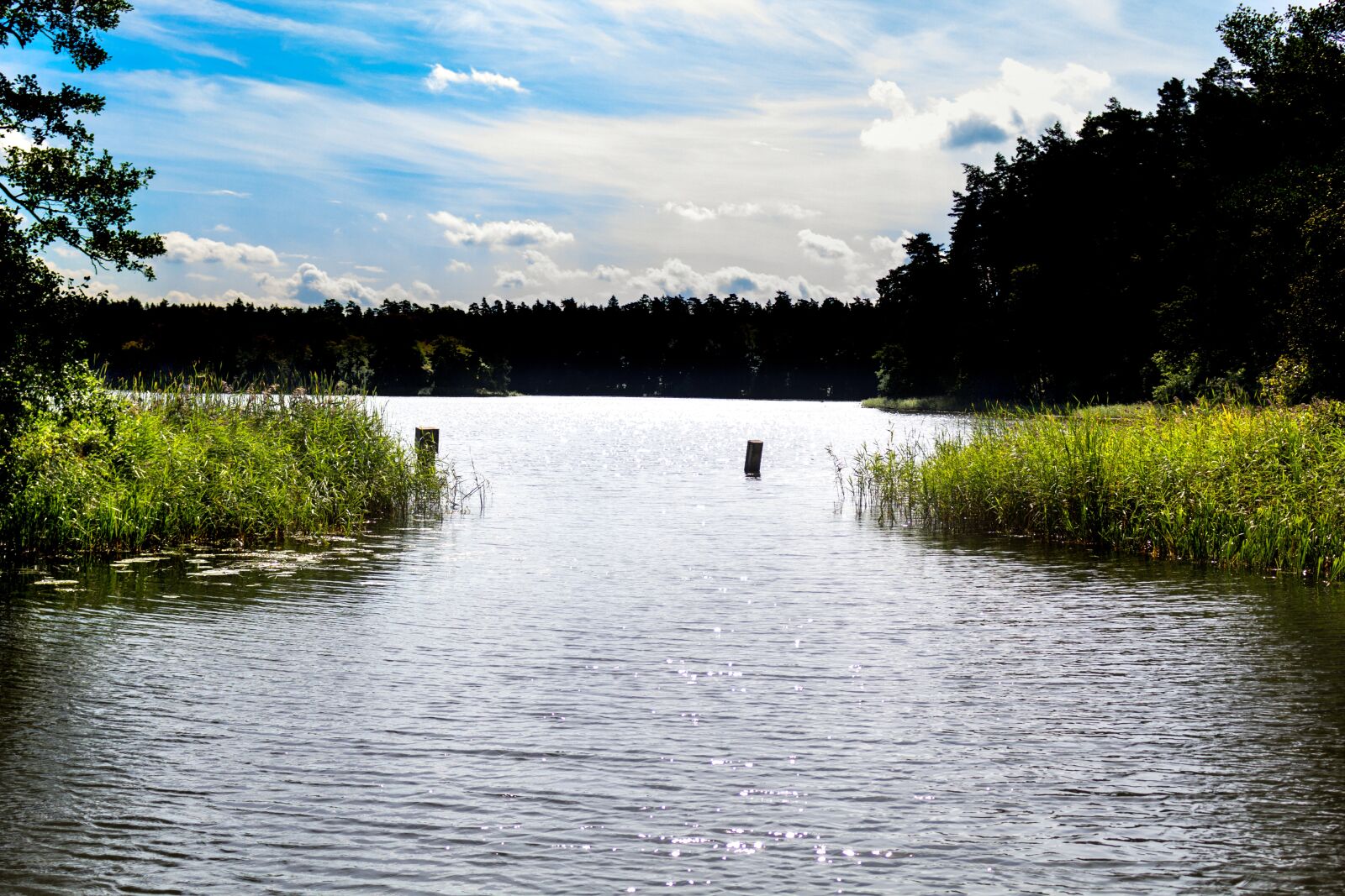 Canon EOS 60D sample photo. Lake, river, marsh photography