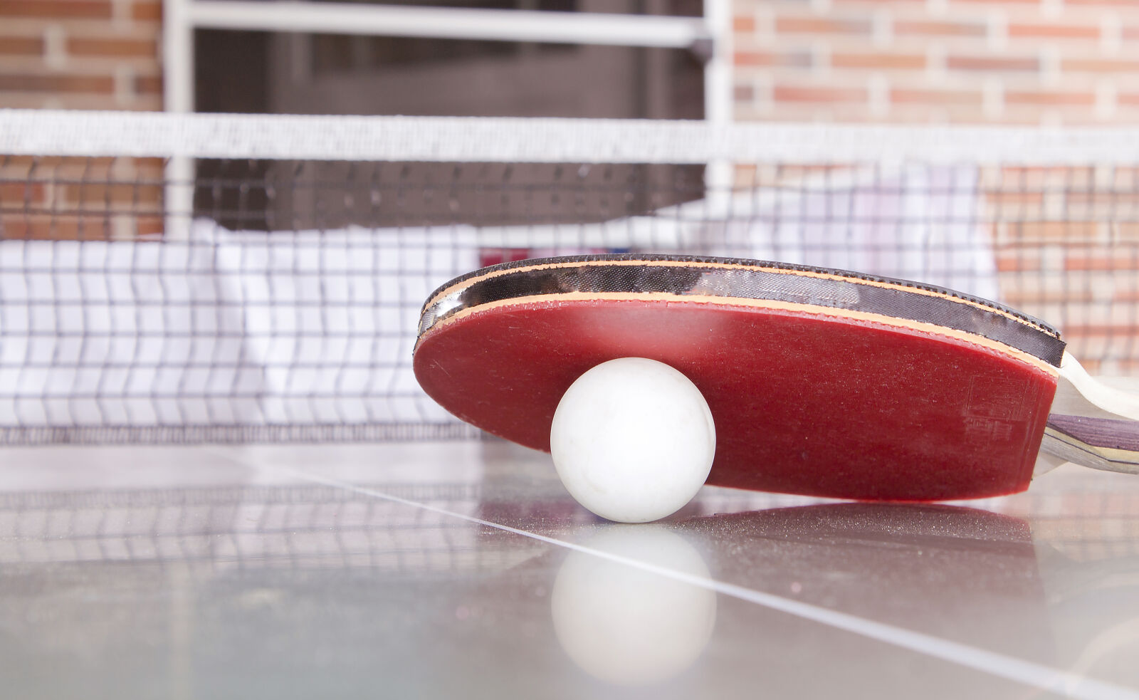 Canon EOS 1100D (EOS Rebel T3 / EOS Kiss X50) sample photo. White, pingpong, ball, beneath photography