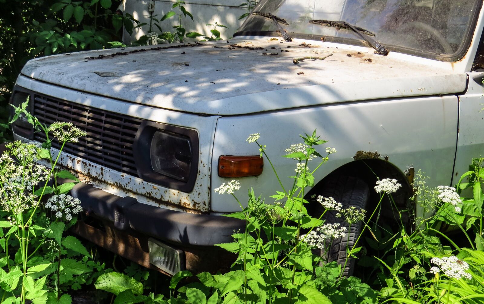 Canon PowerShot SX50 HS sample photo. Car cemetery, rust, stainless photography