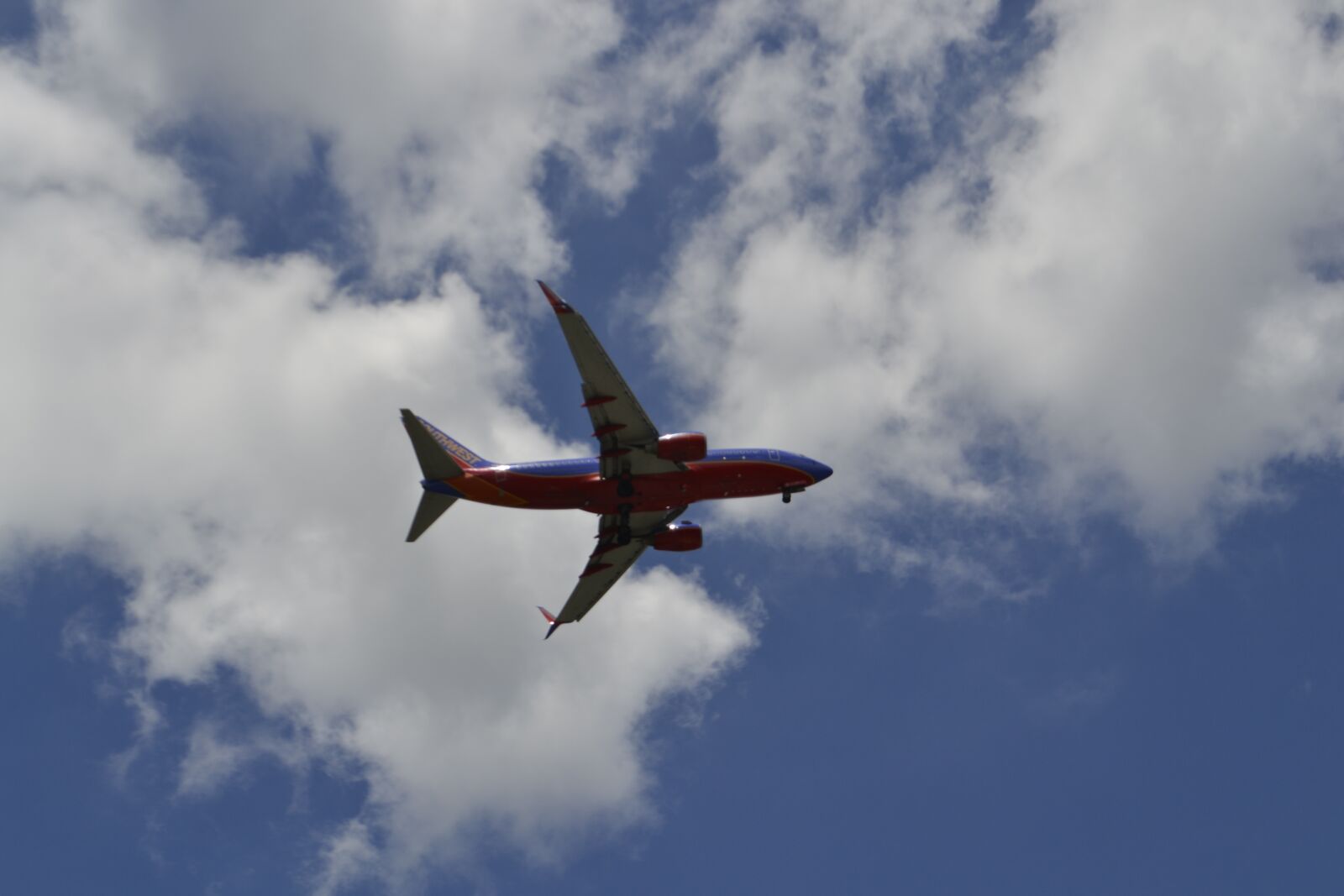 Nikon D3100 sample photo. Aviation, southwest airline, landing photography