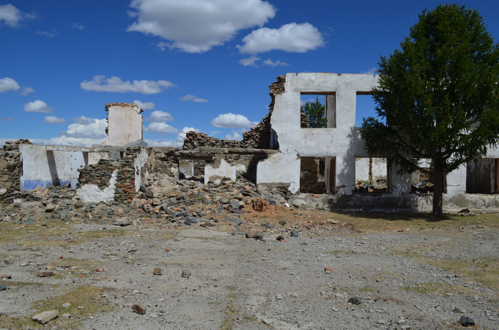 Nikon D5100 sample photo. House, mongolia, older, tree photography