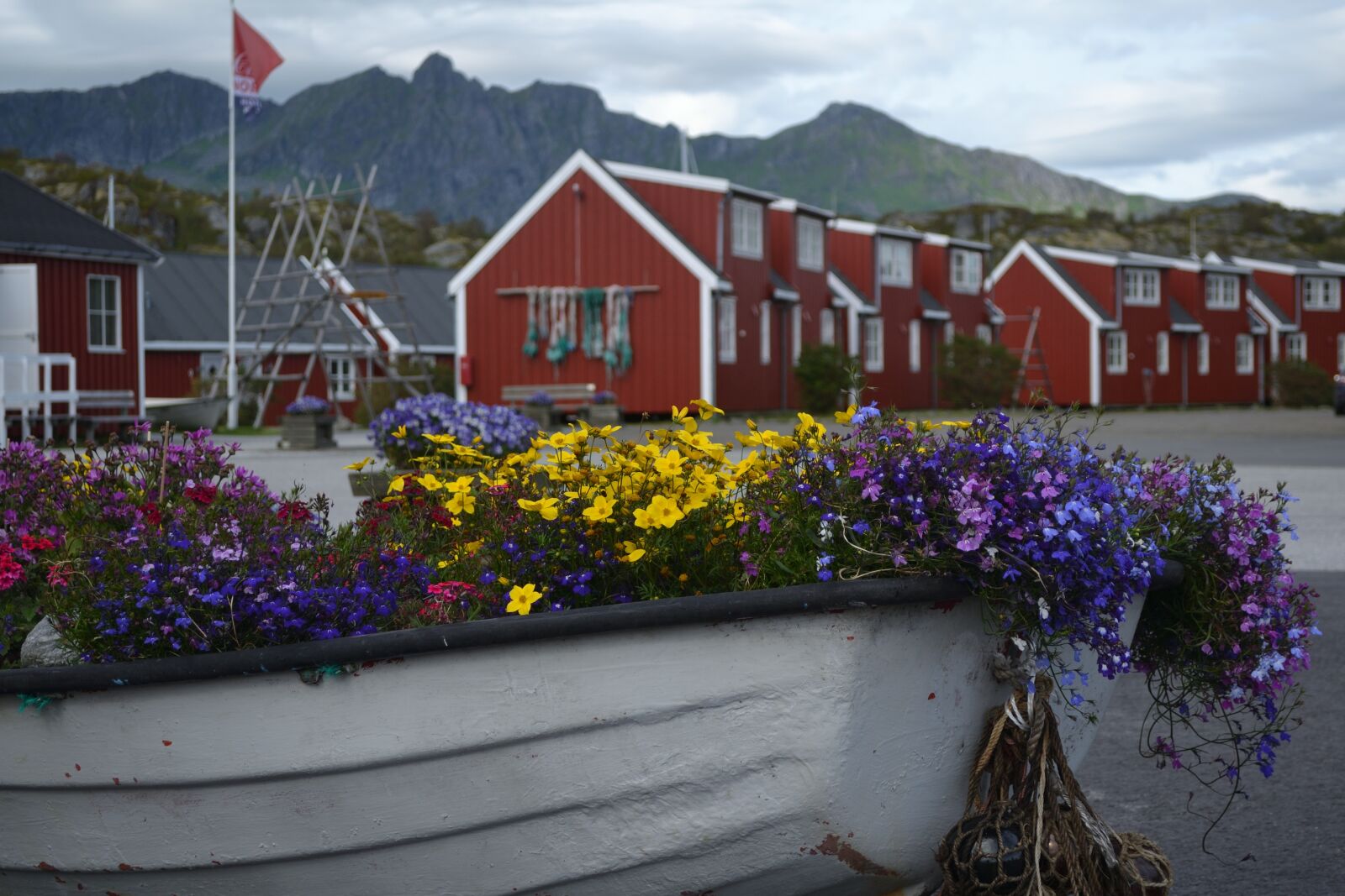 Nikon D3100 sample photo. Norway, houses, flowers photography