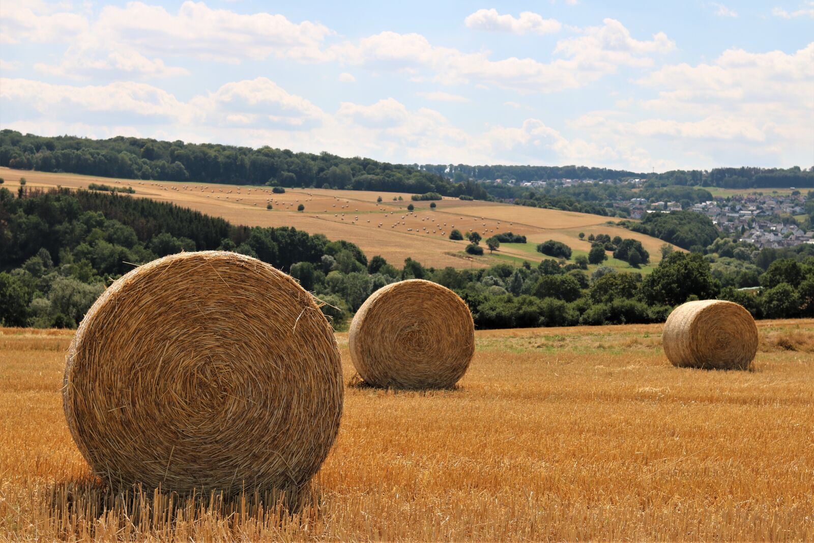 Canon EF 35mm F2 IS USM sample photo. Hay bales, round, golden photography