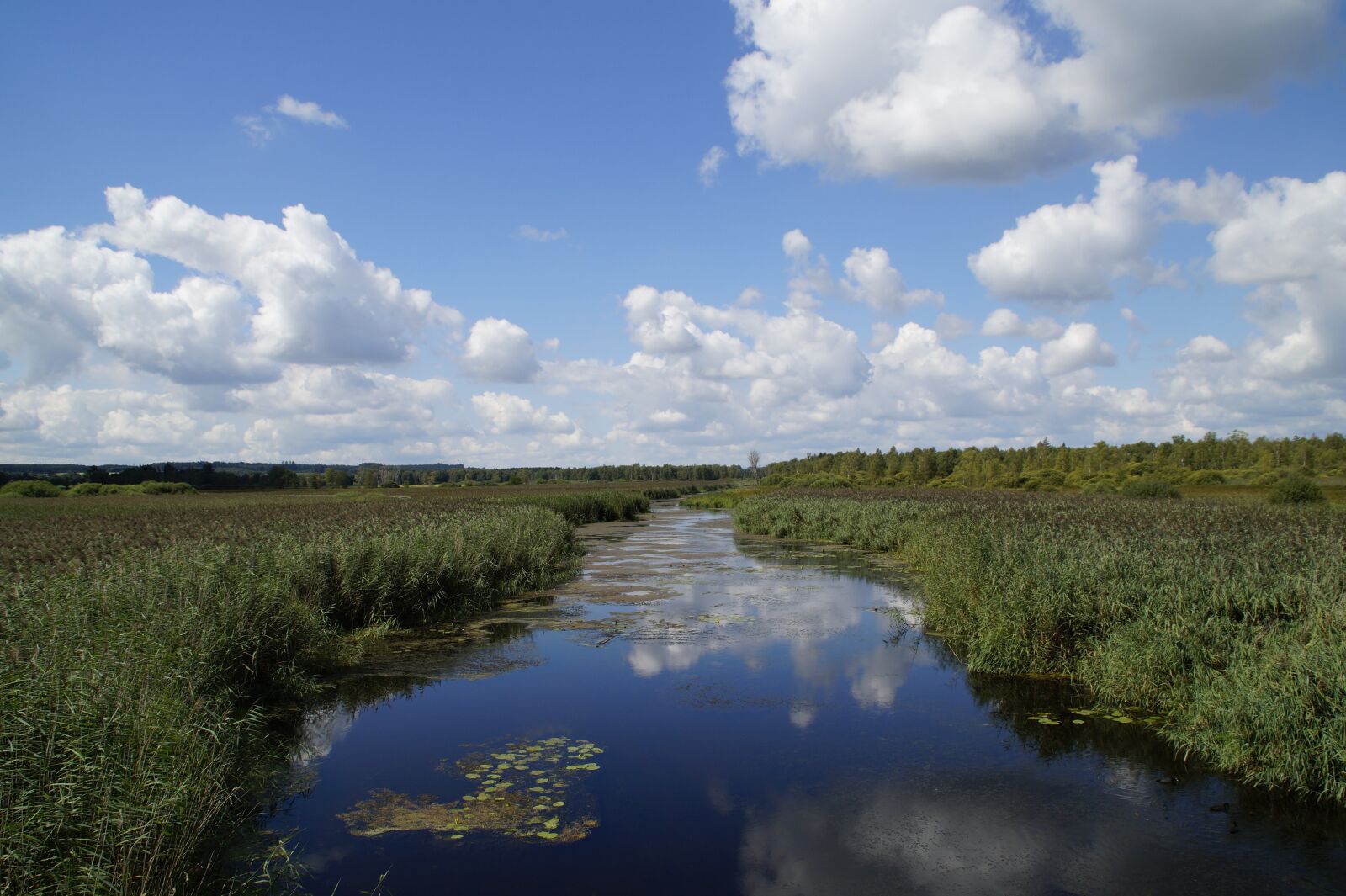Sony SLT-A58 sample photo. Landscape, spring lake, nature photography