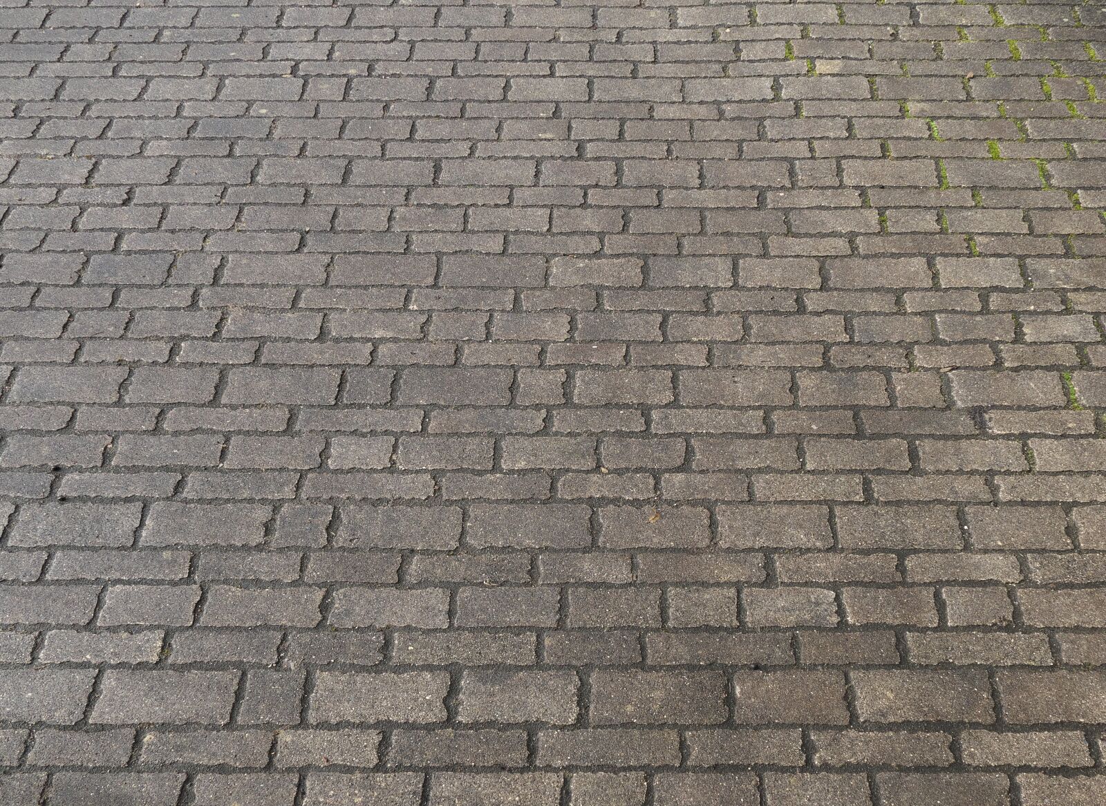 Panasonic Lumix DMC-FZ1000 sample photo. Patch, paving stone texture photography