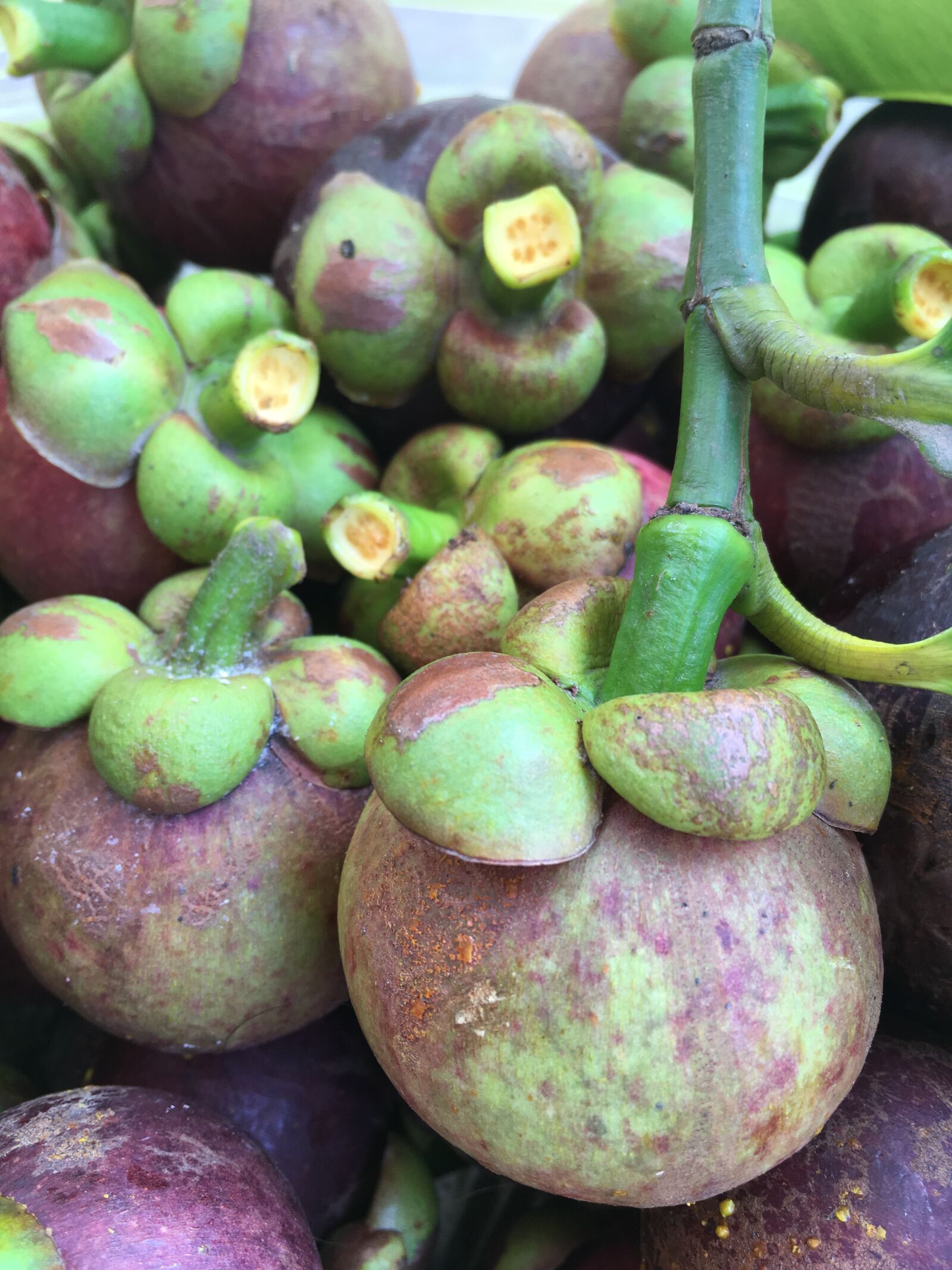 iPhone SE back camera 4.15mm f/2.2 sample photo. Fruit, mangosteen, food photography
