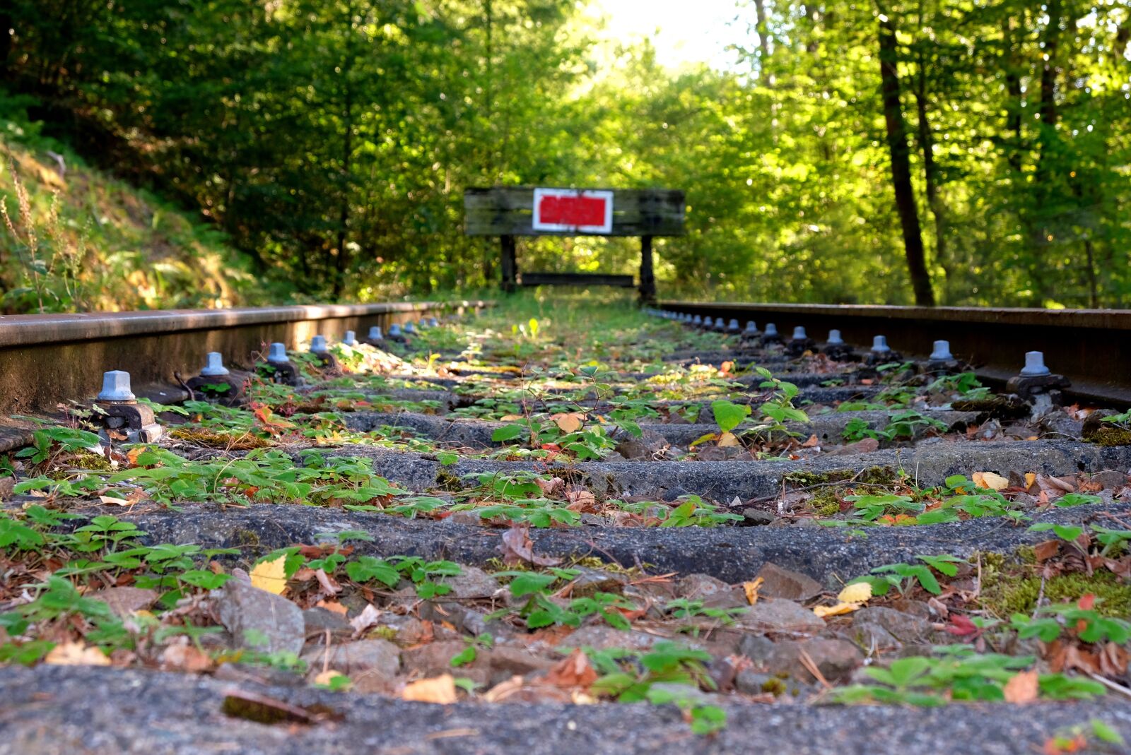 Fujifilm X-T20 sample photo. Siding, buffer stop, track photography