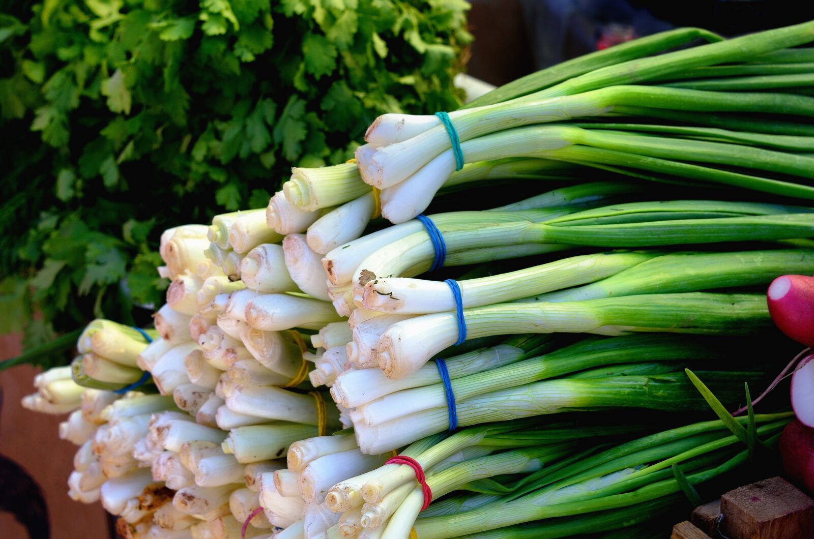Nikon D7000 sample photo. Vegetables, greens, foods photography