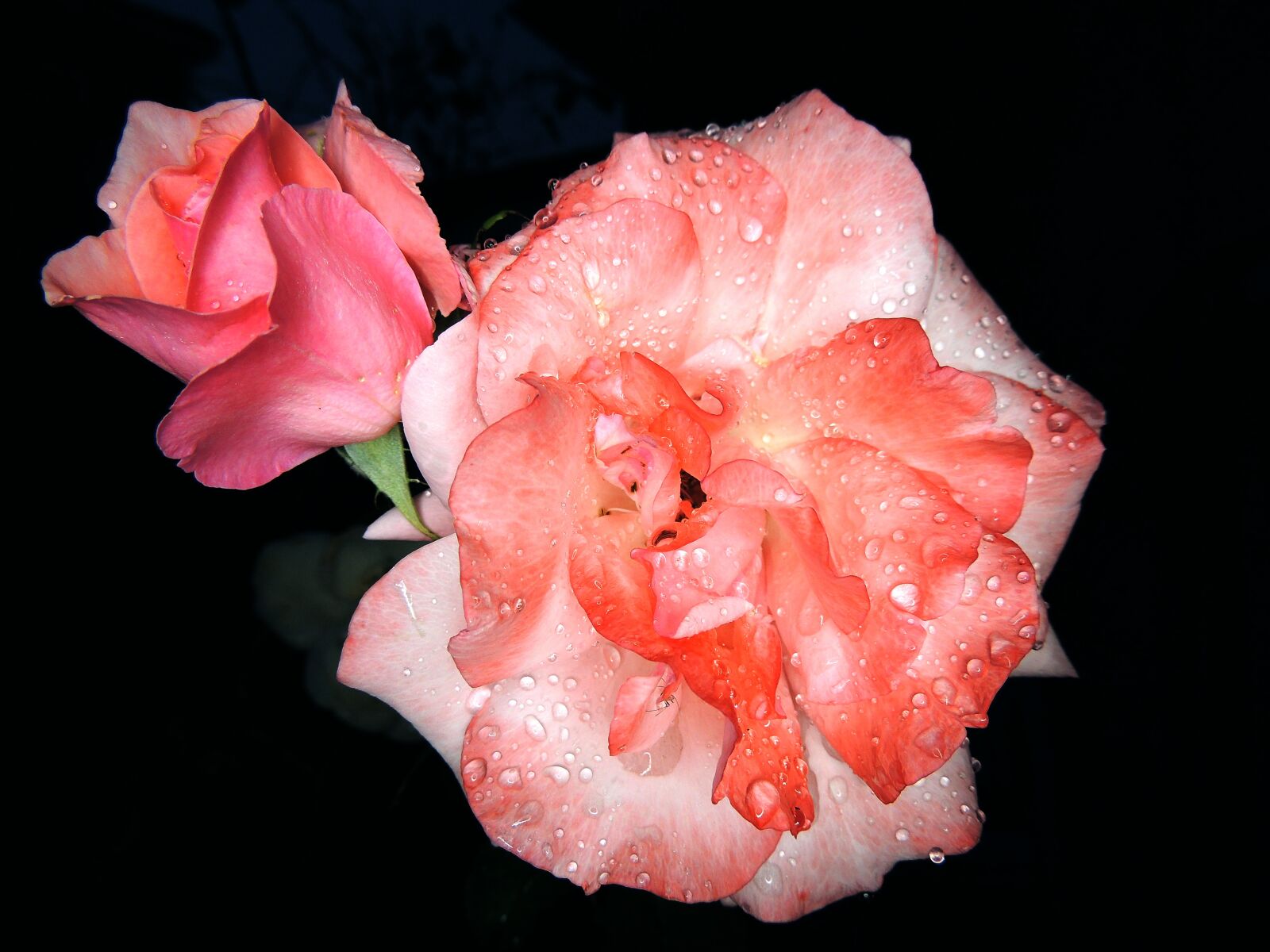 Nikon Coolpix P510 sample photo. Notte fonda, samsung, nx500 photography