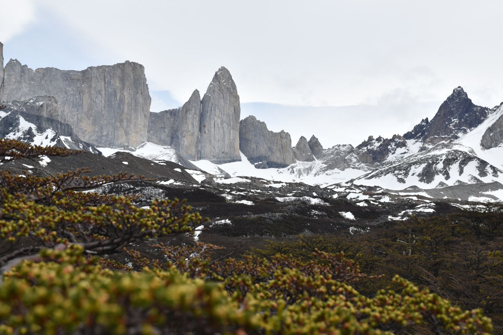 Nikon D5500 sample photo. Patagonia, torres del paine photography