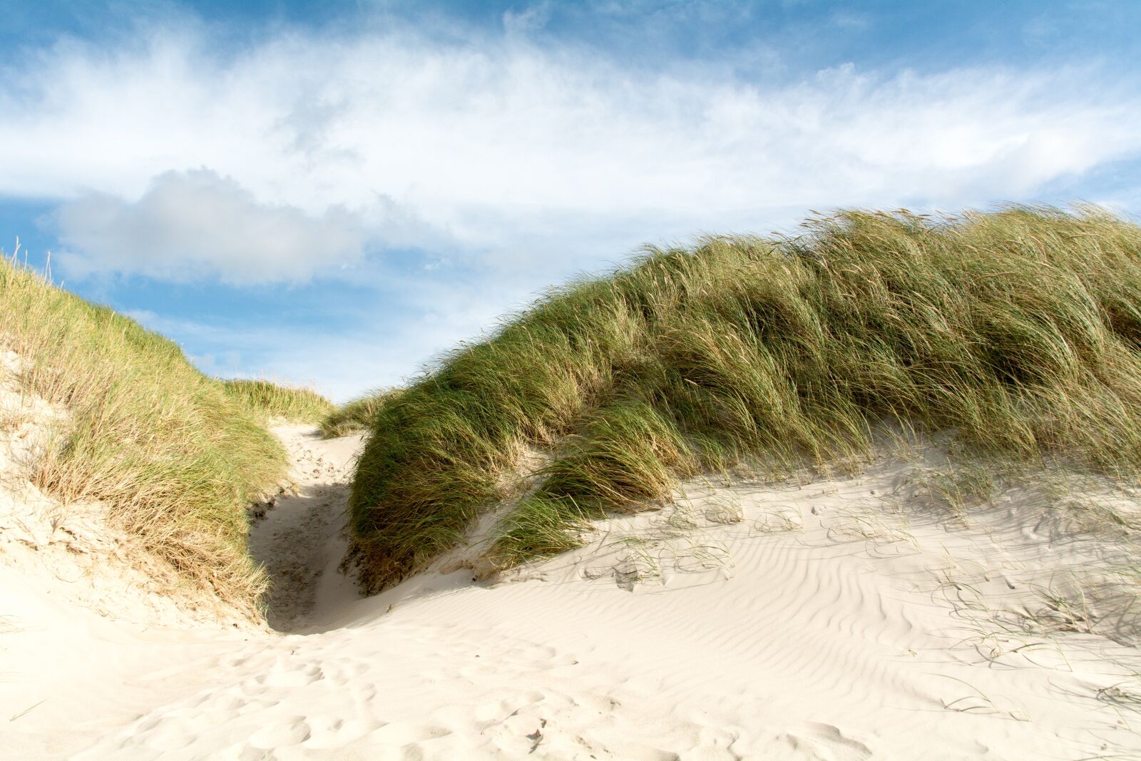 Nikon D7100 sample photo. Beach, denmark, henne strand photography