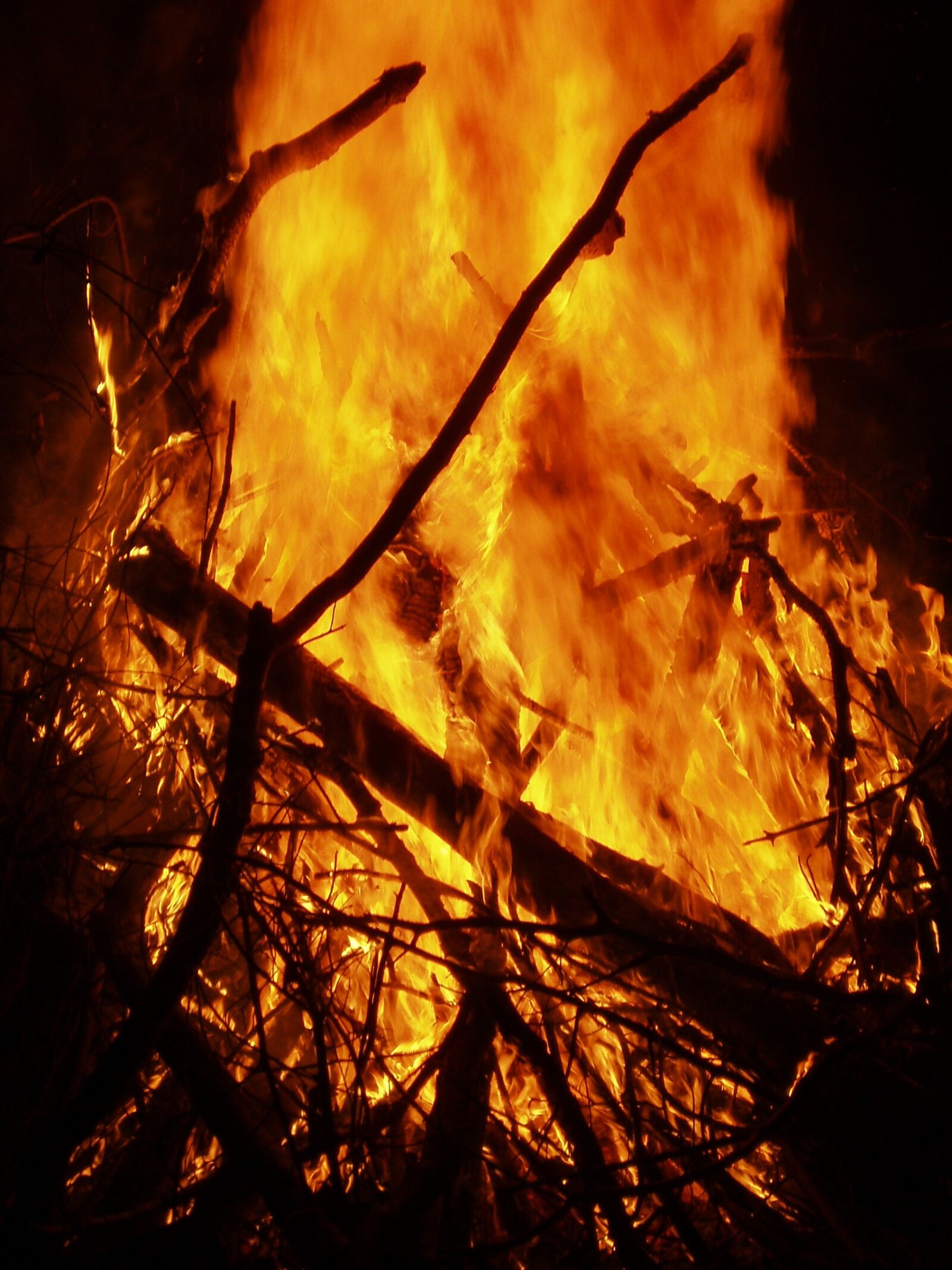 Olympus u30D,S410D,u410D sample photo. Bonfire, fire, heat photography