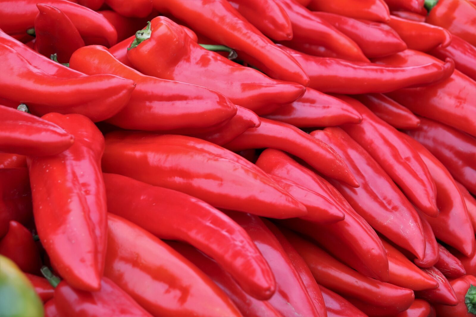 Canon EOS 200D (EOS Rebel SL2 / EOS Kiss X9) sample photo. Red peppers, paprika, vegetable photography