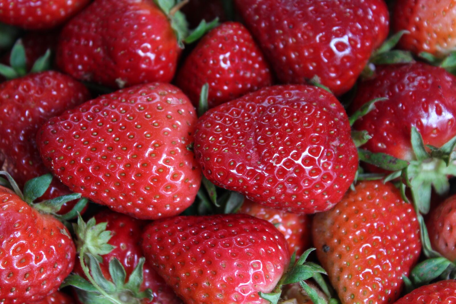 Canon EOS 1200D (EOS Rebel T5 / EOS Kiss X70 / EOS Hi) sample photo. Strawberry, strawberries, fruit photography