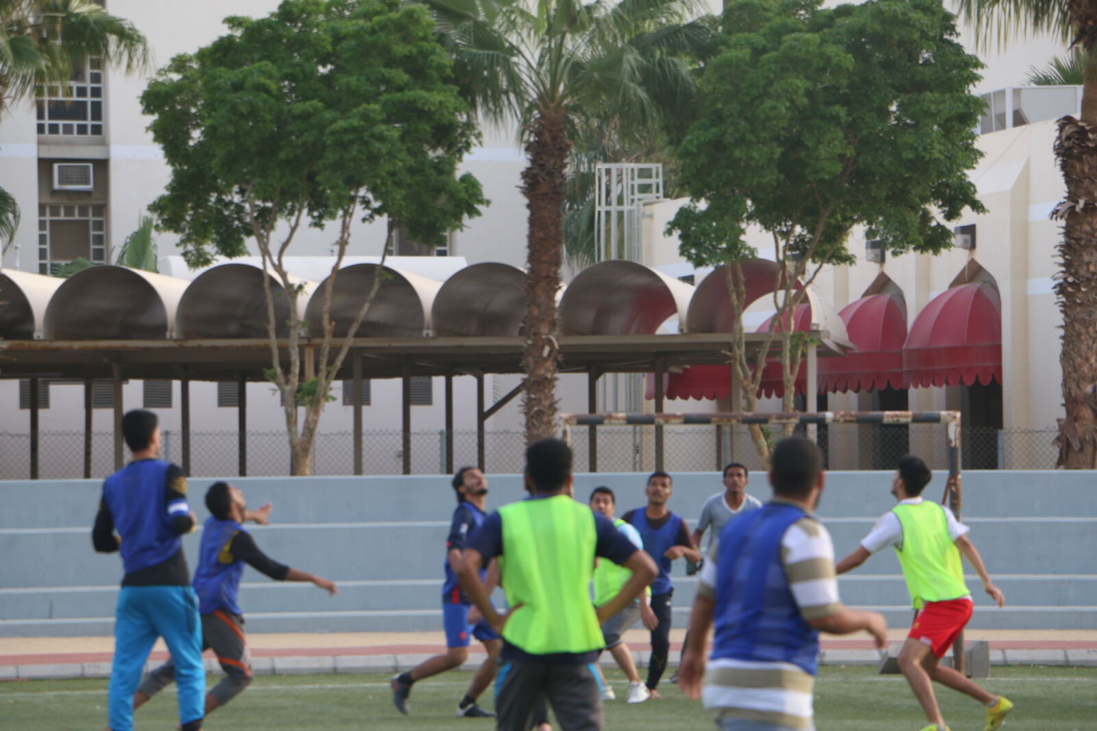 Canon EOS 70D sample photo