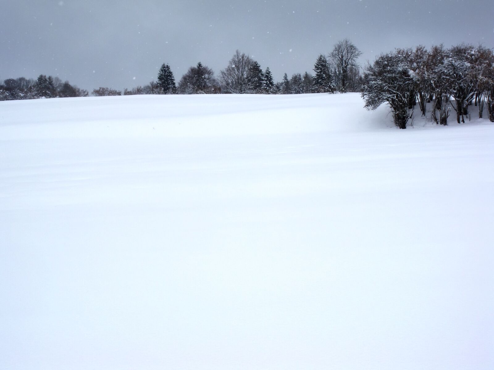 Pentax Optio M60 sample photo. Winter, landscape, nature photography