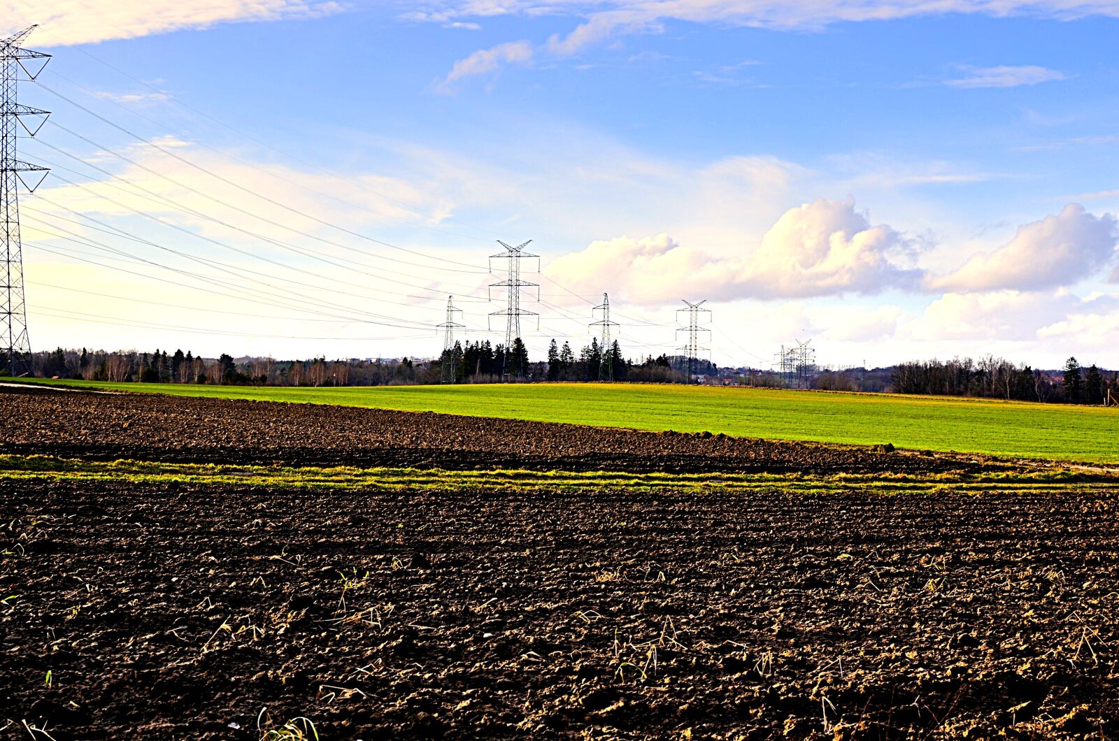 Nikon D5100 sample photo. Leżno, field, poles photography